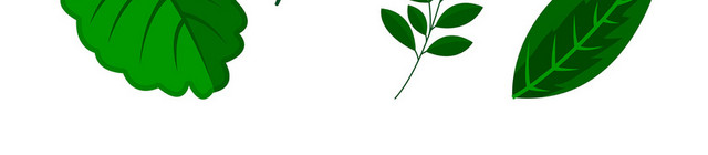 绿色热带植物树叶装饰小清新免抠素材