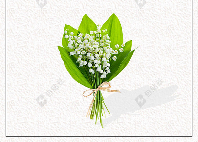 手绘边框绿色花朵6月你好海报背景