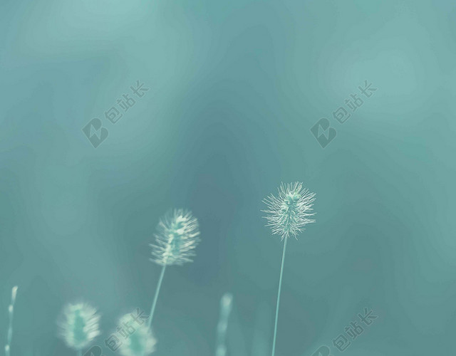 蓝色绿草手绘风景六月你好海报背景