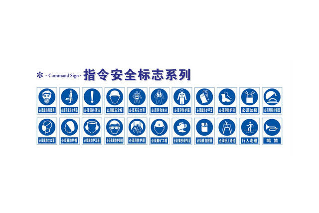 指令系列安全标志