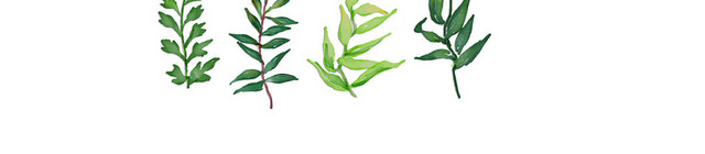 树叶绿色热带植物装饰小清新免抠素材