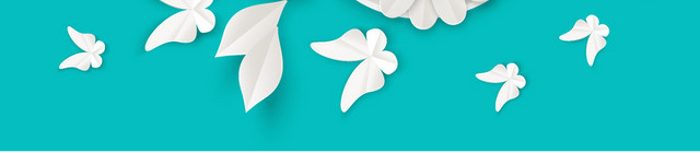 花朵蝴蝶3D立体剪纸风素材