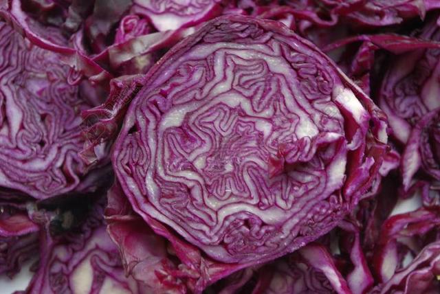 红甘蓝 蔬菜 科尔 紫 白菜 食品 吃 花园 健康 作物