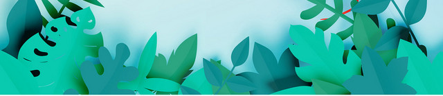 火烈鸟植物树叶红鹤小清新边框PNG手绘插图