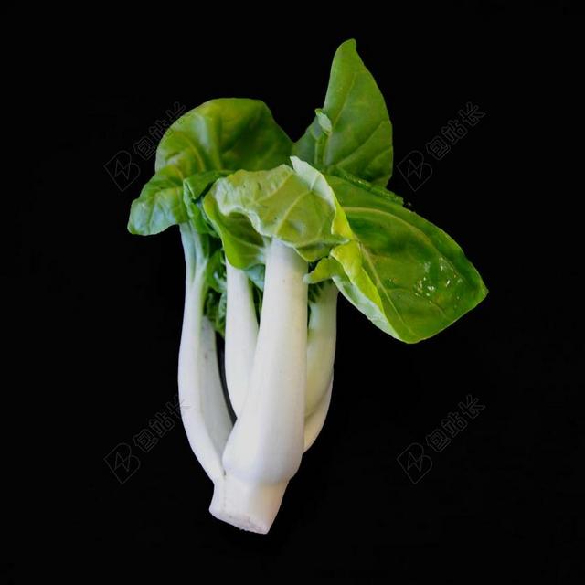 青菜 中国芥菜型油菜品种 科尔 芥末白菜 吃