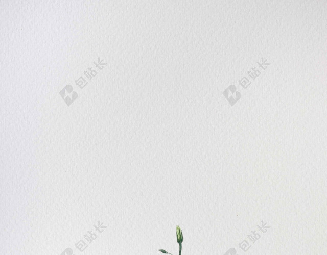 白色花朵绿叶手绘六月你好海报背景