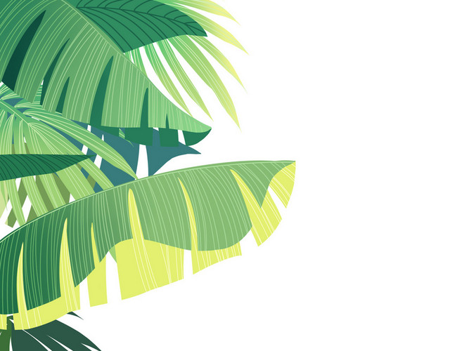 夏天植物叶片PNG素材