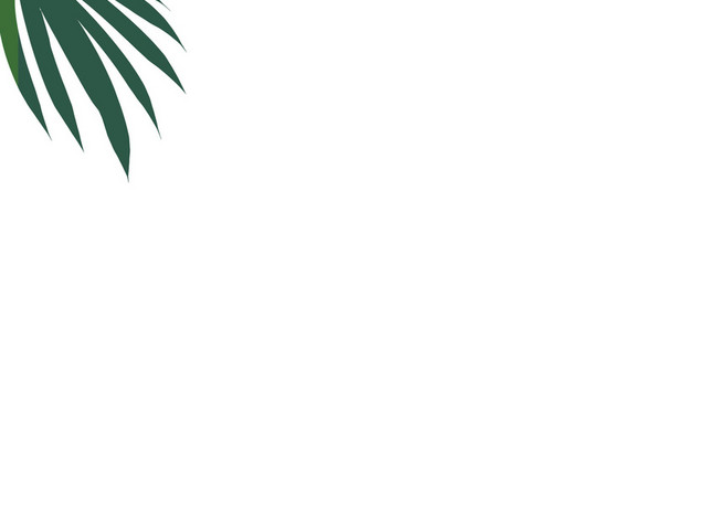 夏天植物叶片PNG素材