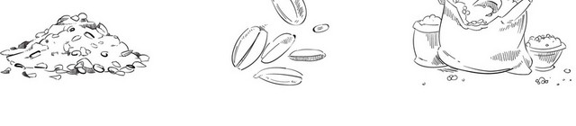 粮食素材