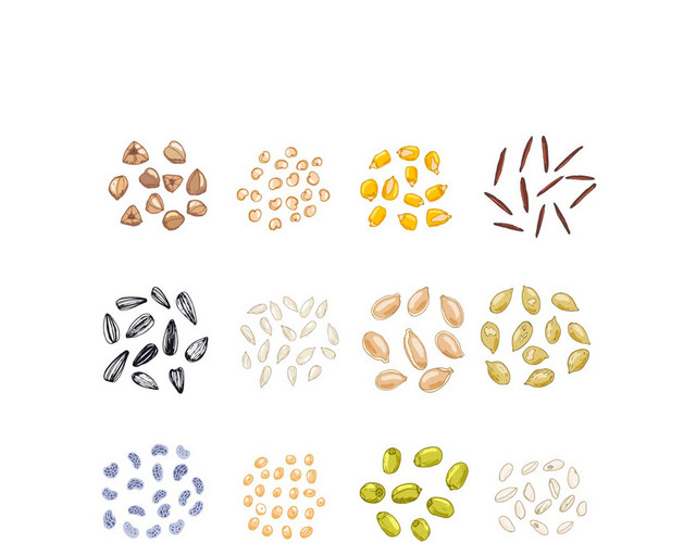 粮食素材