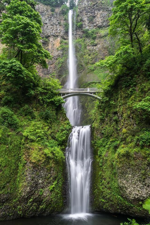 大瀑布 自然 水 流动 森林 绿色 丛林 风景 景区 级联