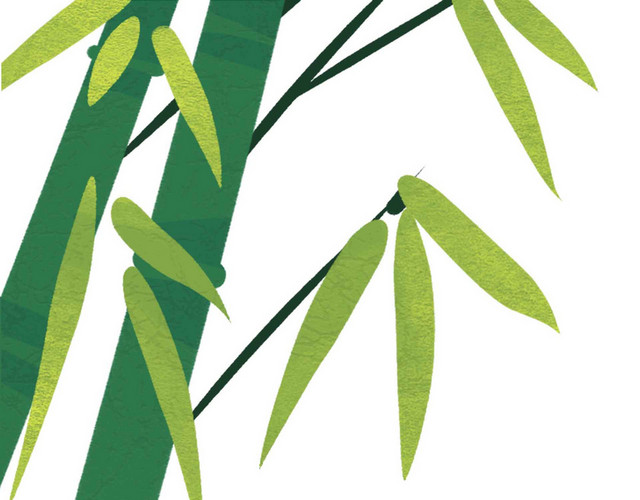 竹子竹叶端午节素材
