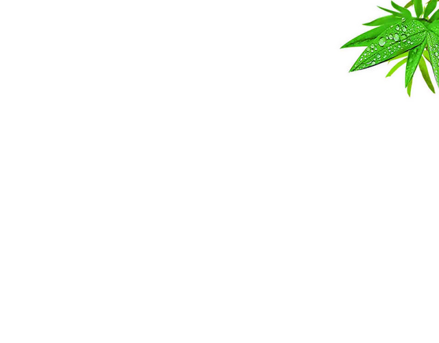 端午青山竹叶端午节素材