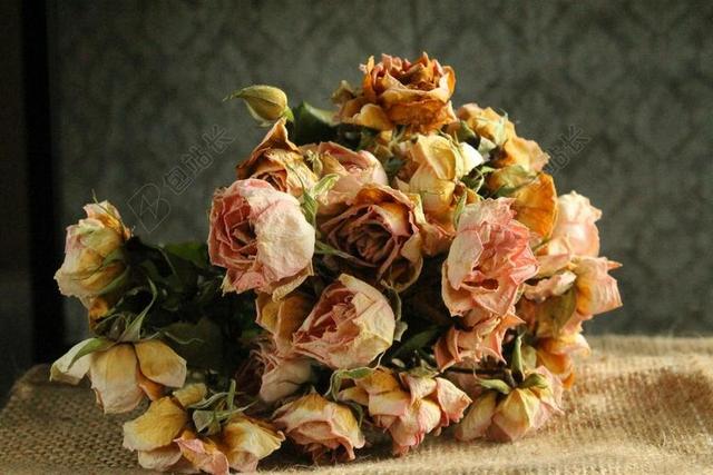 花卉 鲜花 玫瑰 花束 干 褪色 枯萎 逝世 心情 干花