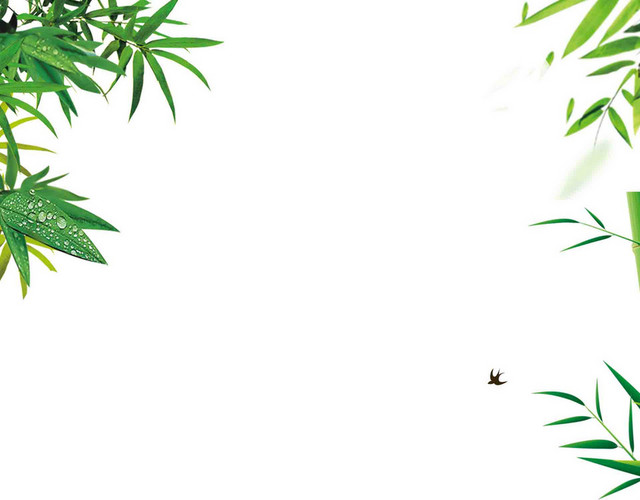 青山竹叶边框端午节素材