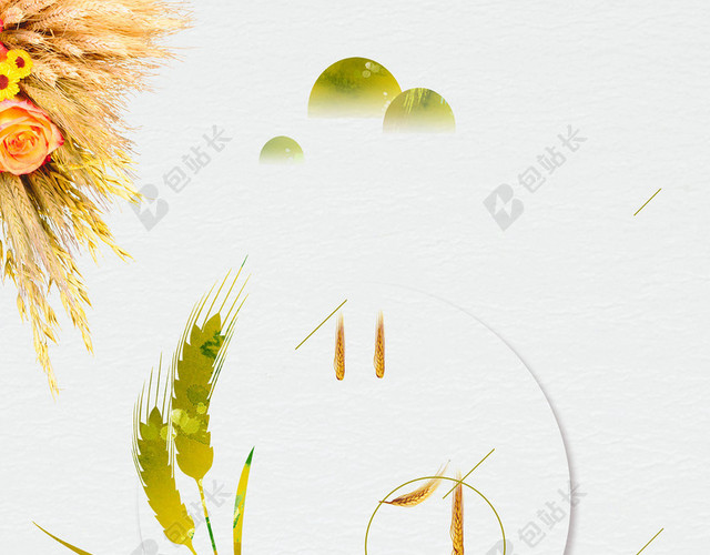 二十四节气灰色稻穗花朵简约燕子芒种海报背景