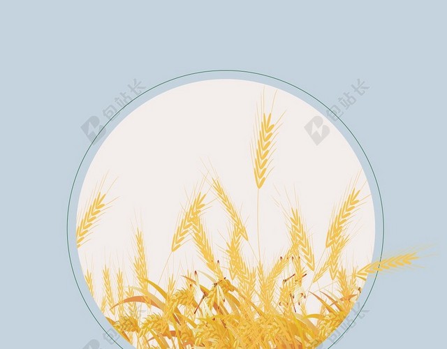 二十四节气灰色简约稻穗稻子芒种海报背景