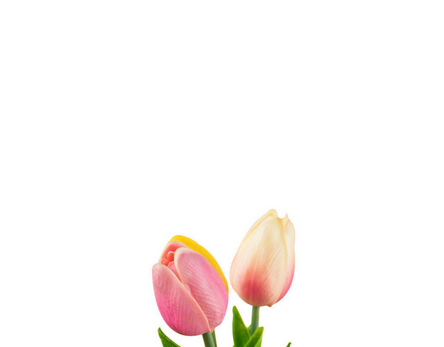 郁金香母亲节鲜花浪漫芬芳PNG素材