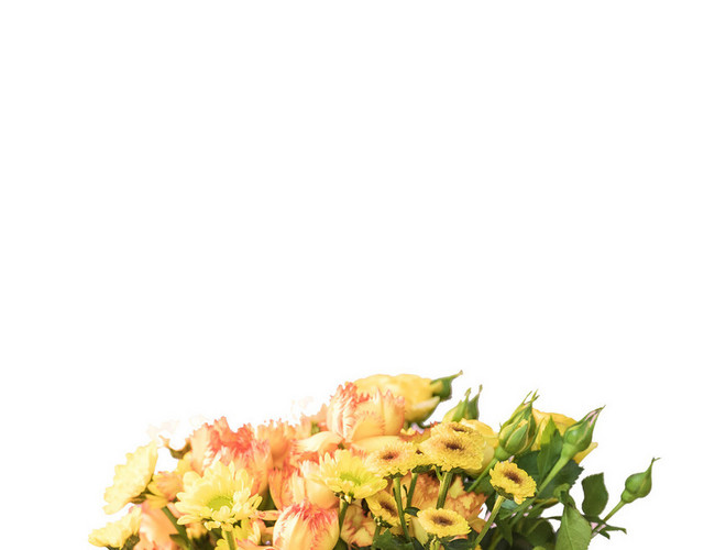 花束玫瑰小雏菊菊花鲜花浪漫芬芳PNG素材