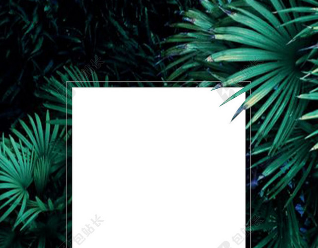 简单棕榈叶子边框夏天绿色海报背景