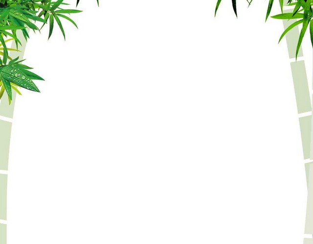 竹子竹叶粽叶边框端午节素材