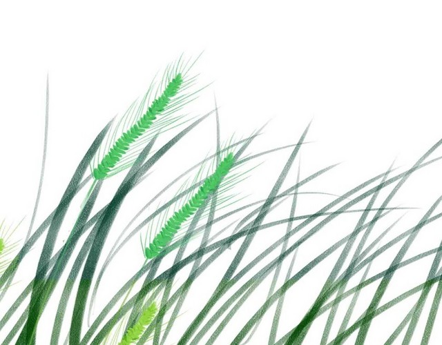 芦苇草端午节素材