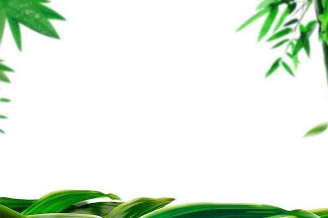 粽叶竹叶竹子边框端午节素材