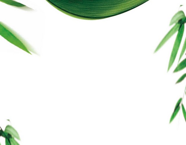 粽叶竹叶边框端午节素材