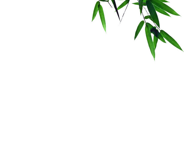端午节海报竹叶素材