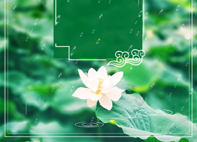 雨水荷花池边框二十四节气夏至绿色海报背景