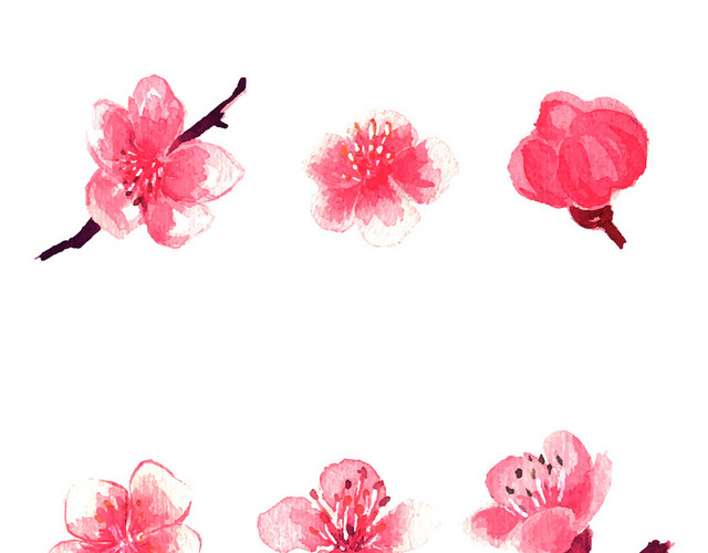 春天踏青日本樱花花朵花瓣花卉树叶树枝PNG元素