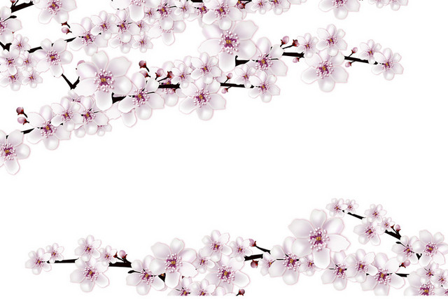 春天踏青日本樱花花朵花瓣花卉树叶树枝PNG元素