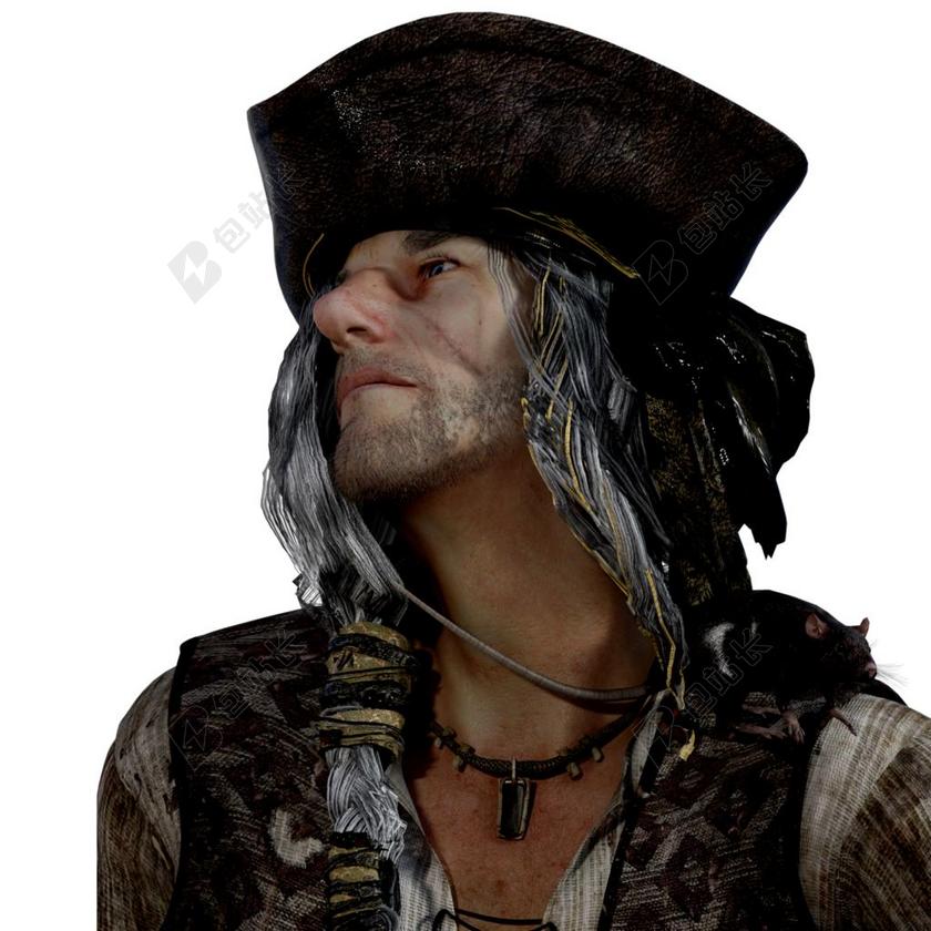 海盗 航海 兵变 海 船舶 水 波 战斗 碇泊处 性质