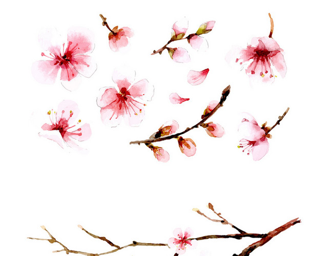 春天踏青日本樱花花朵花瓣花卉树叶树枝PNG元素