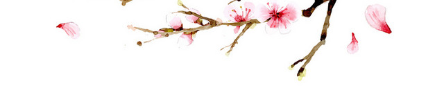 春天踏青日本樱花花朵花瓣花卉树叶树枝PNG元素