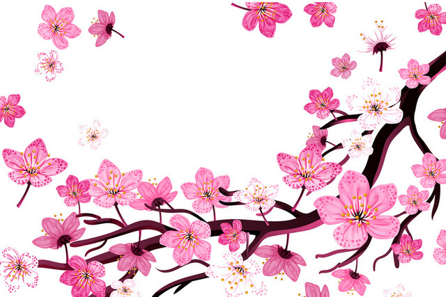 粉色日本樱花花朵花瓣花卉春天PNG元素