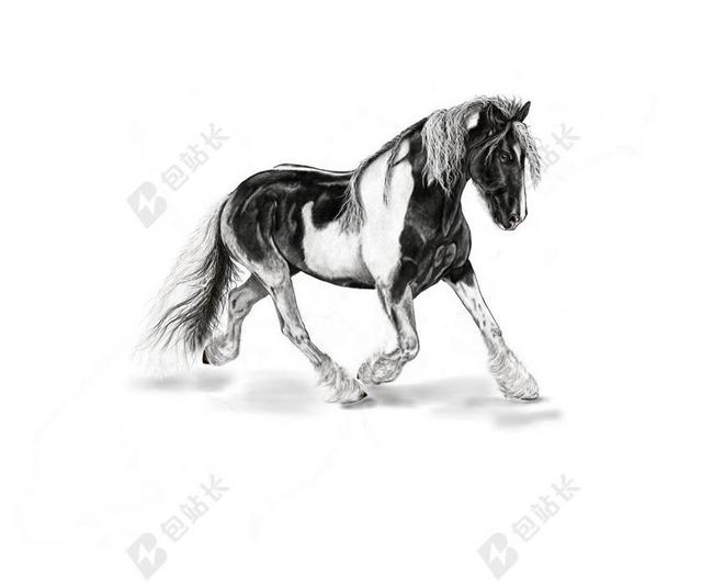 马 斑驳 艺术 动物 绘画 数字油画 图纸