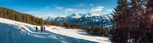 全景 冬天 山 森林 雪 瑞士 贝阿滕贝格 雪景 白 景观