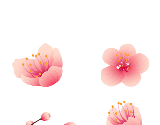 粉色日本樱花花朵花瓣花卉春天PNG元素