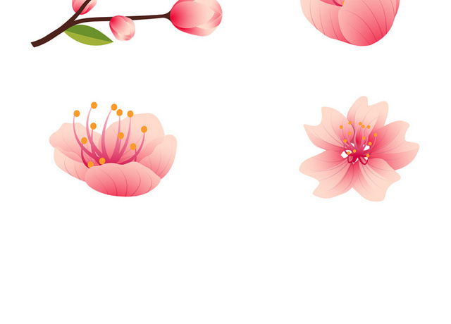 粉色日本樱花花朵花瓣花卉春天PNG元素