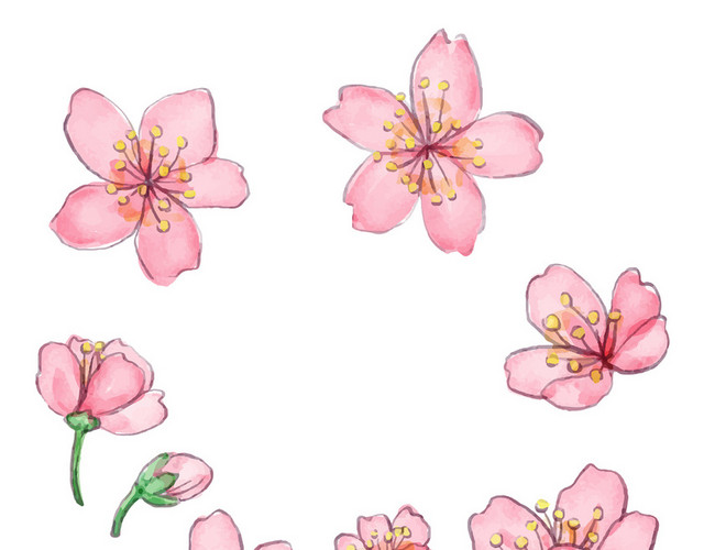 粉色日本樱花花朵花瓣花卉春天PNG元素