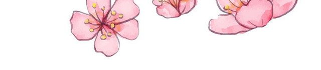 粉色日本樱花花朵花瓣花卉春天PNG元素