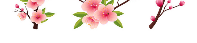 春天踏青日本樱花花朵花瓣花卉树叶树枝PNG元素