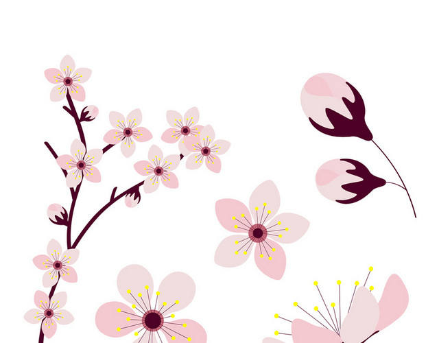 春天踏青日本樱花花朵花瓣花卉树叶树枝PNG元素