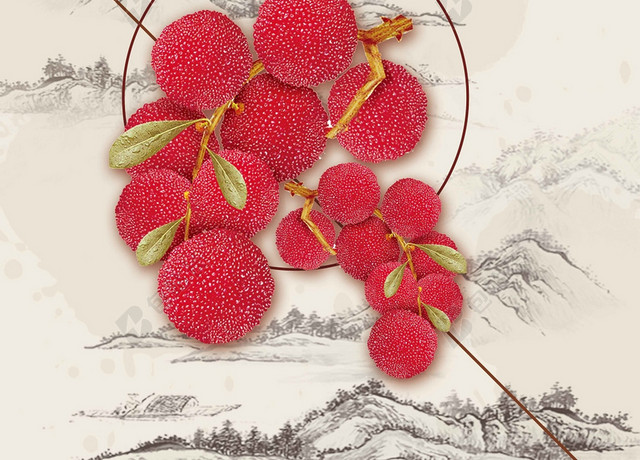 红白花草绿叶纹理古风清新简约杨梅水果海报背景