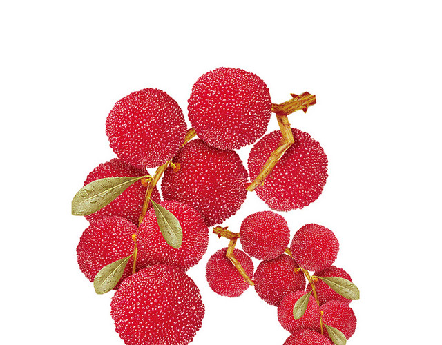 水果杨梅素材