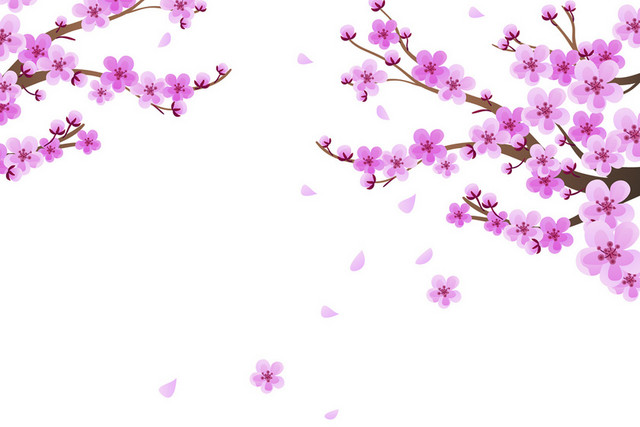 唯美水彩日本樱花花朵花瓣花卉清新矢量元素