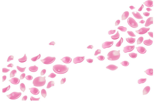 粉色日本樱花花朵花瓣花卉春天PNG元素