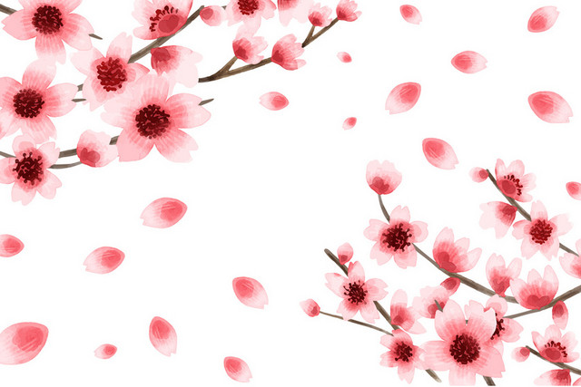 唯美日本樱花花朵花瓣花卉清新边框装饰矢量元素