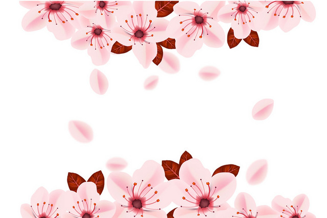 春天踏青日本樱花花朵花瓣花卉树叶PNG元素